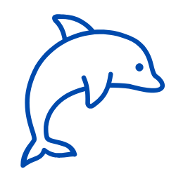 Dolphin Icon
