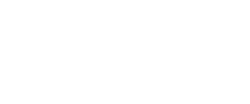 dolphin jumping illustration