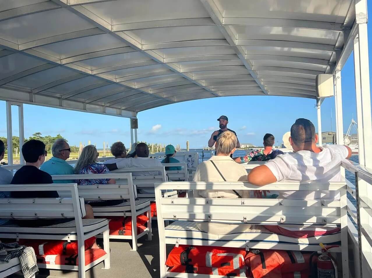 Group enjoying dolphin tour
